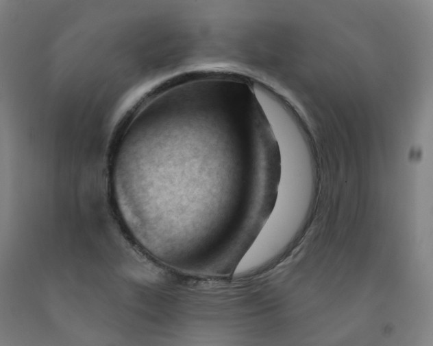 X0000091991319200709271439