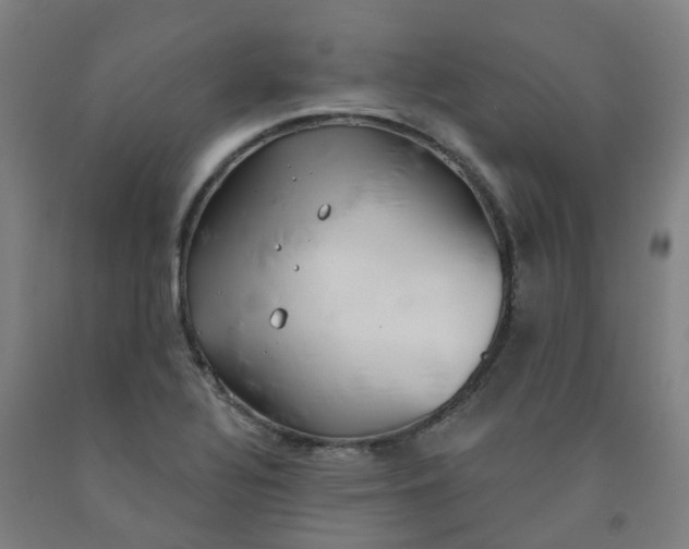 X0000091991320200709271439