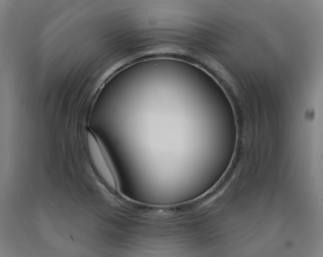 X0000091991321200709271439