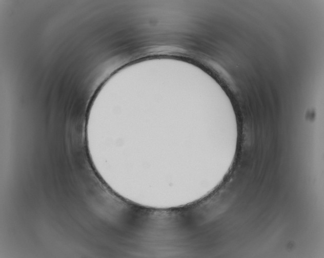 X0000091991322200709271439