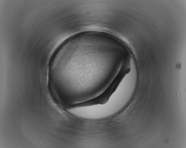 X0000091991323200709271439