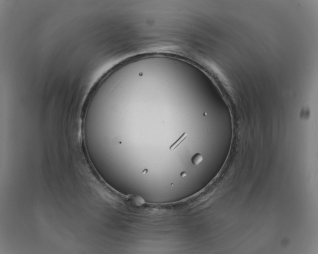 X0000091991324200709271440