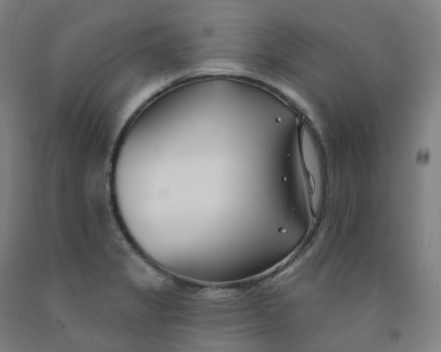 X0000091991325200709271440