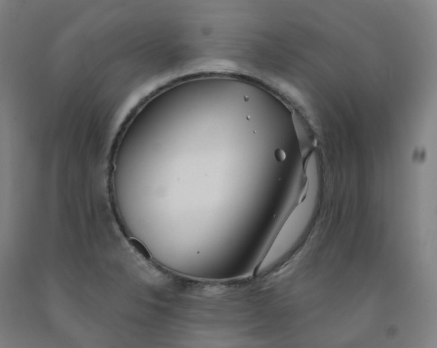 X0000091991326200709271440