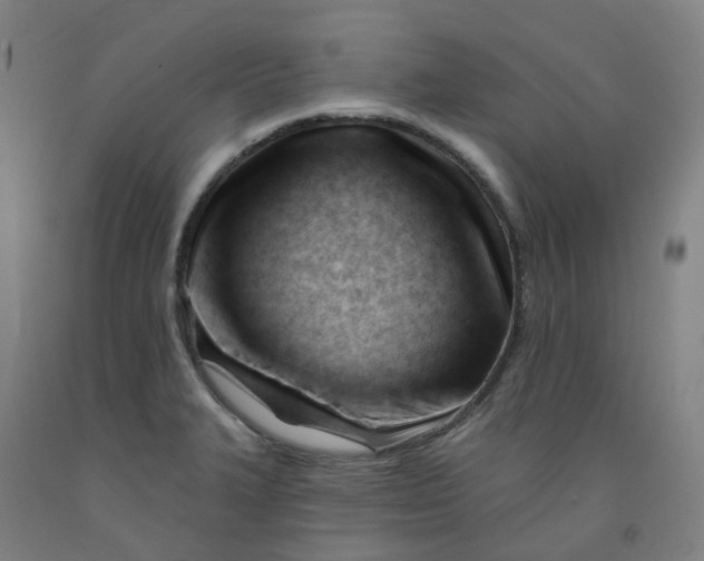 X0000091991327200709271440