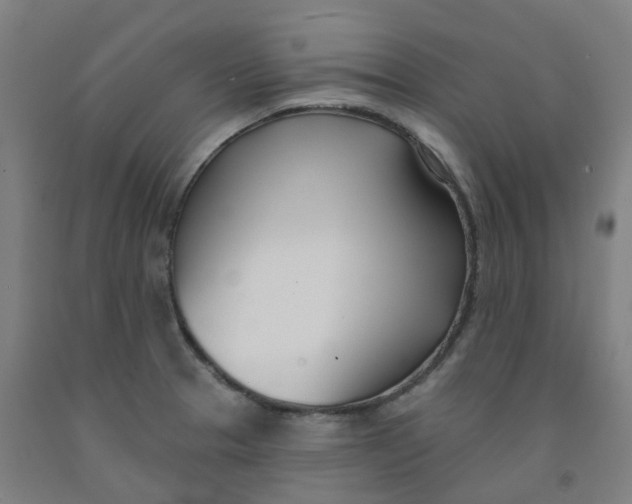 X0000091991329200709271440