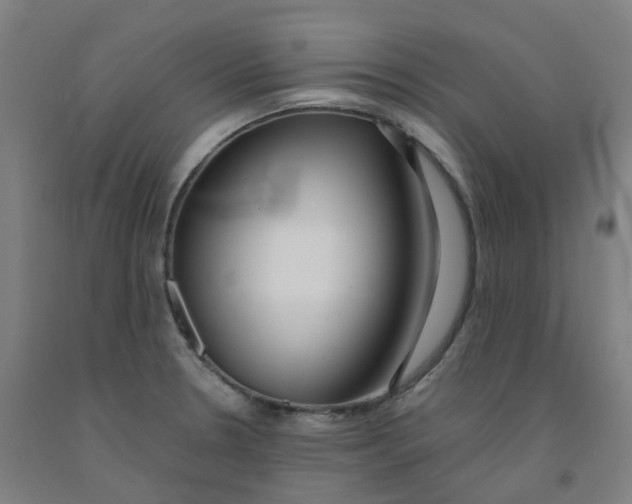 X0000091991330200709271440