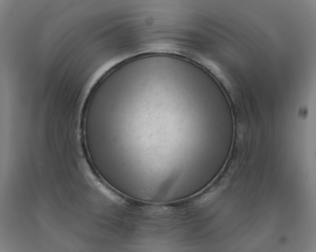 X0000091991331200709271440