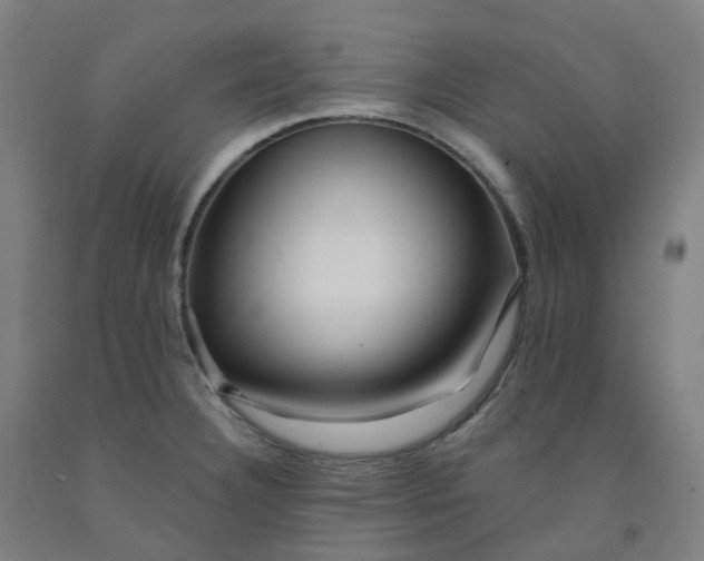 X0000091991332200709271440