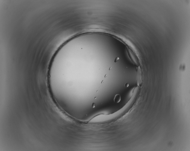 X0000091991333200709271440