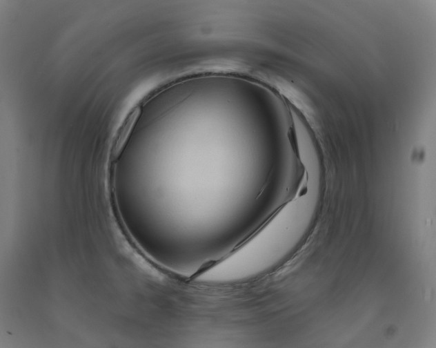 X0000091991334200709271440