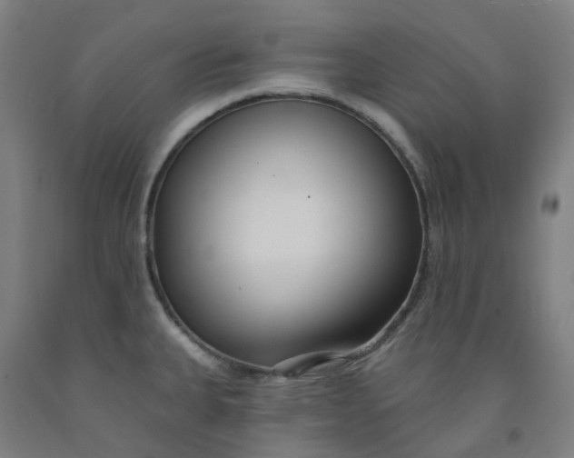 X0000091991335200709271440