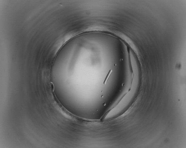 X0000091991337200709271440