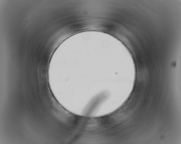 X0000091991338200709271440