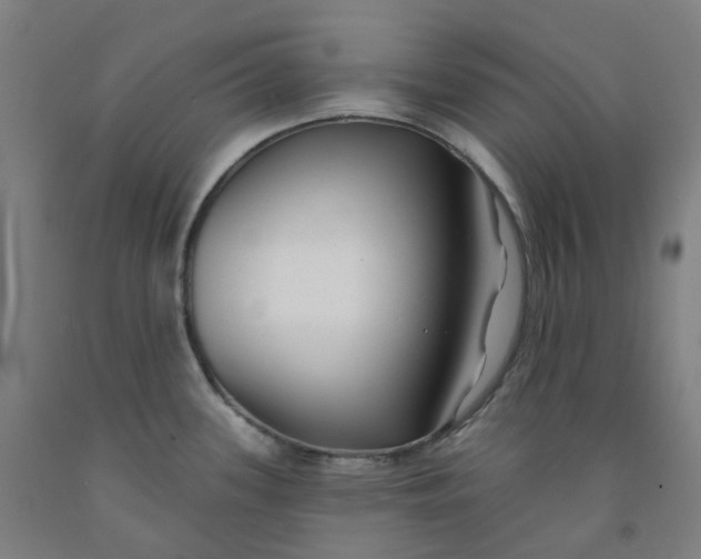 X0000091991339200709271440