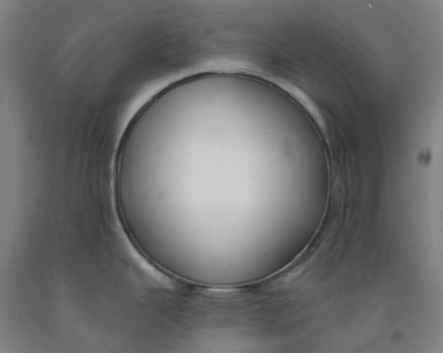 X0000091991343200709271440