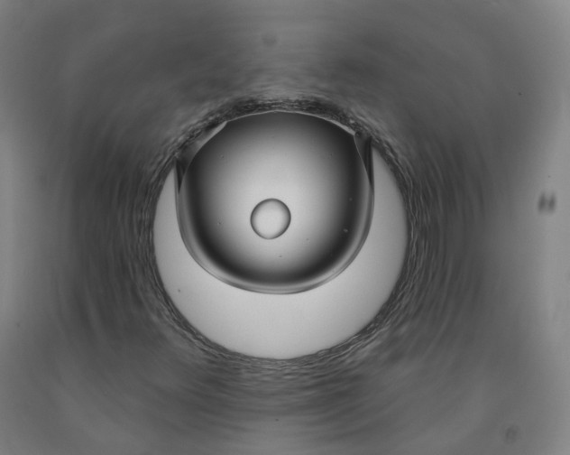 X0000091991348200709271439