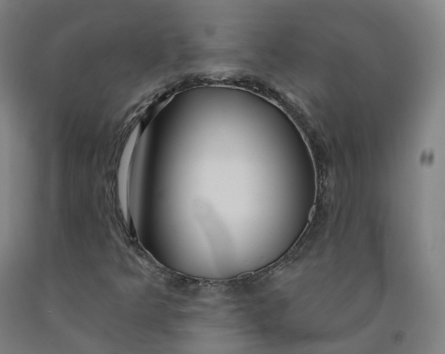 X0000091991349200709271439