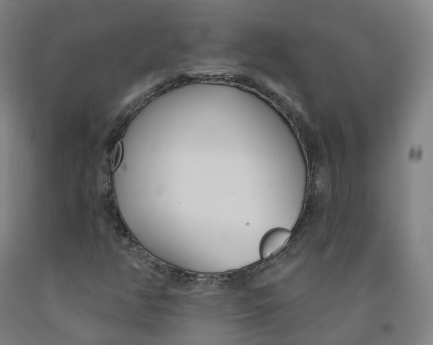 X0000091991350200709271439