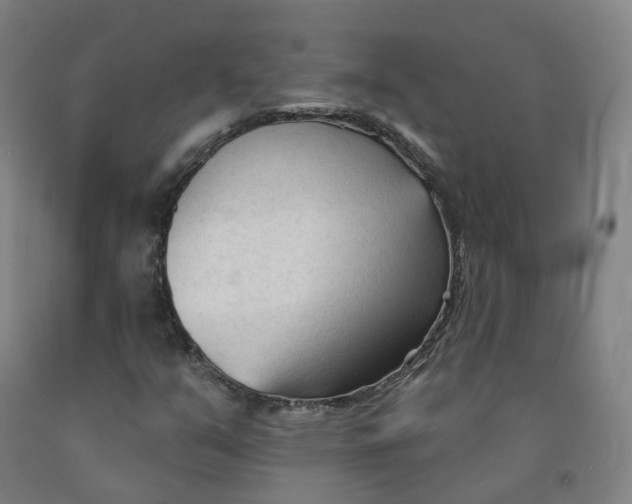 X0000091991351200709271439