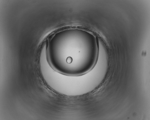 X0000091991352200709271439