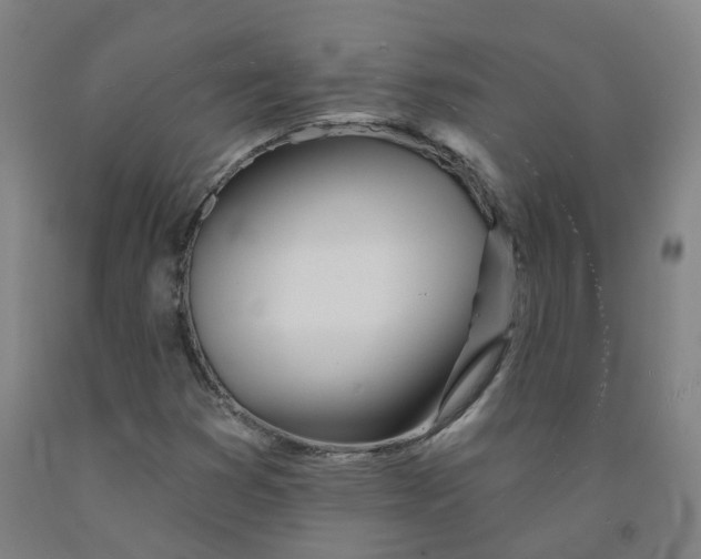 X0000091991353200709271439