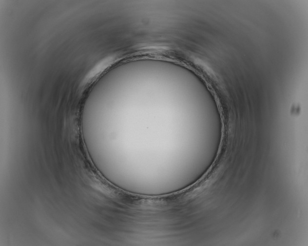 X0000091991354200709271439