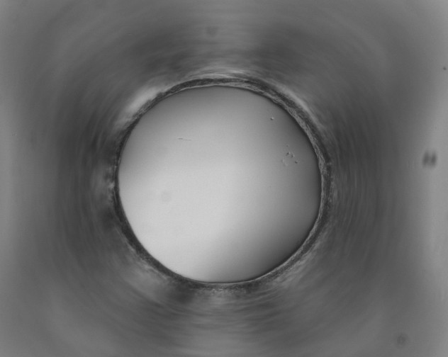 X0000091991355200709271439