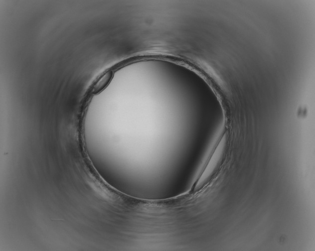 X0000091991356200709271439