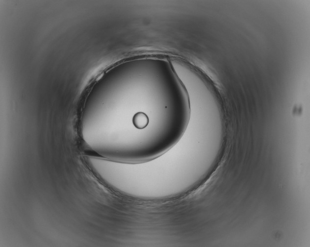 X0000091991357200709271439