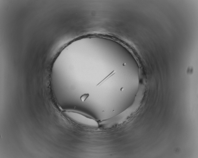 X0000091991359200709271439