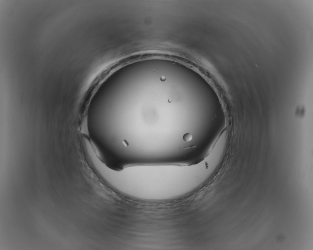 X0000091991360200709271439