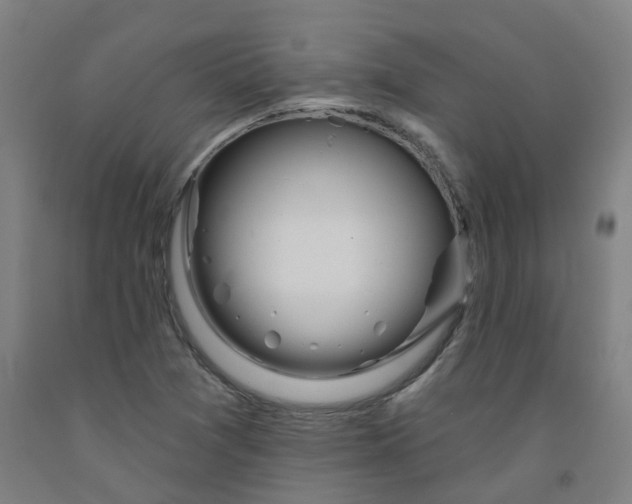 X0000091991361200709271439