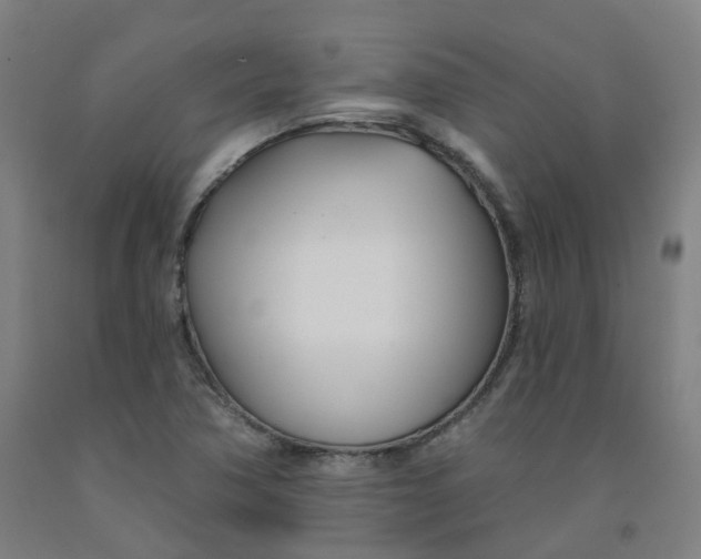 X0000091991362200709271439