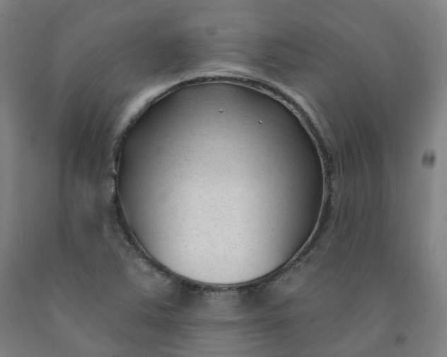 X0000091991363200709271439