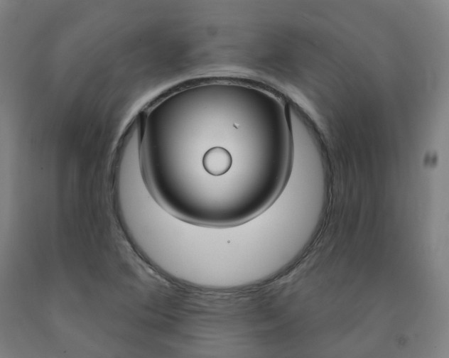 X0000091991364200709271439