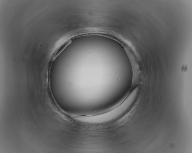 X0000091991365200709271439