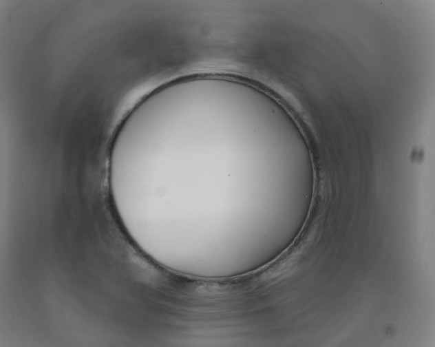 X0000091991366200709271439