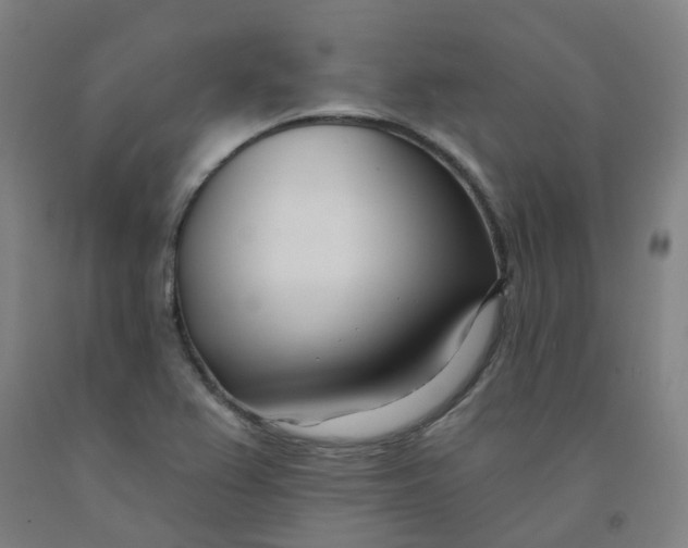 X0000091991367200709271439