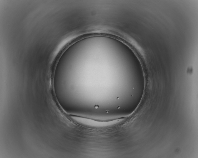 X0000091991368200709271439