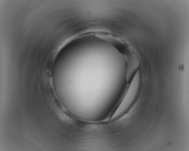 X0000091991369200709271439