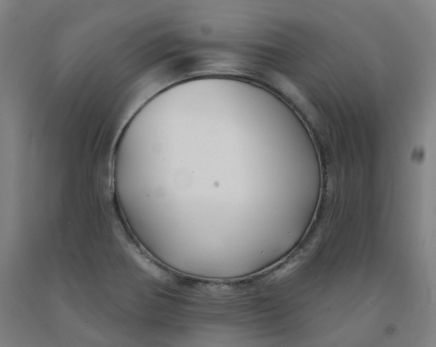 X0000091991370200709271439