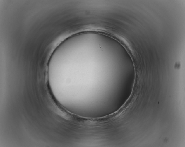 X0000091991371200709271439