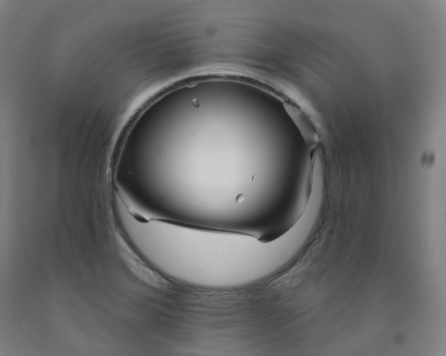 X0000091991372200709271439