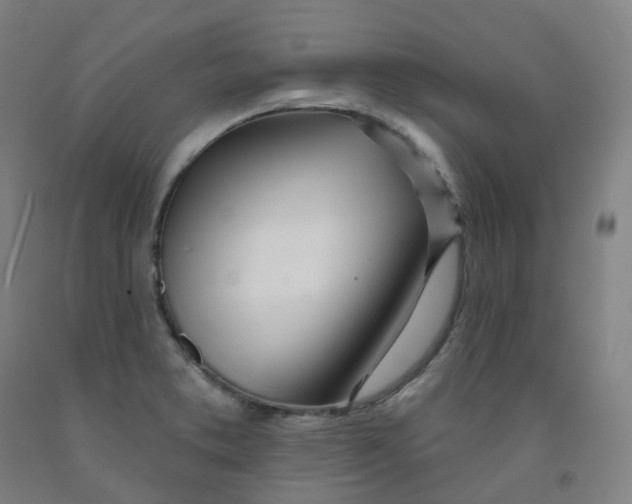 X0000091991373200709271439