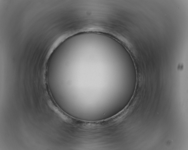 X0000091991374200709271439