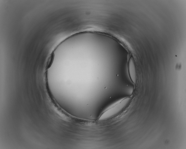 X0000091991375200709271439