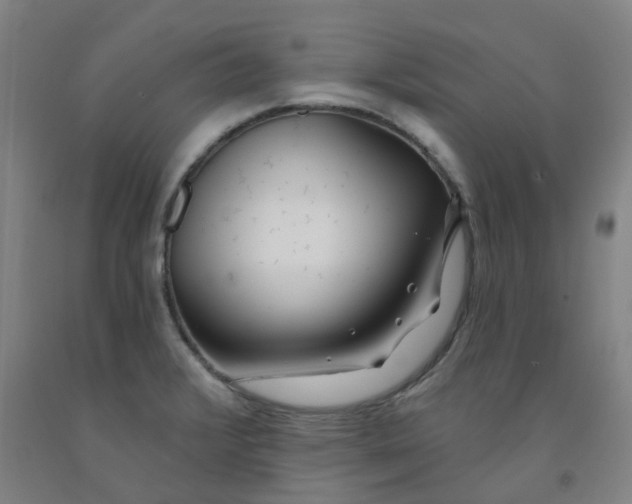 X0000091991376200709271439