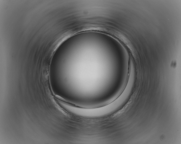 X0000091991377200709271439