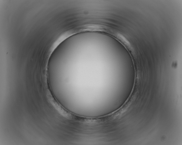 X0000091991378200709271439